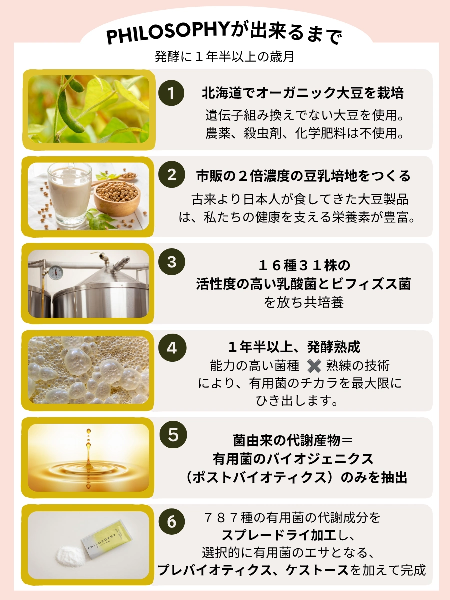 フィロソフィができるまで
